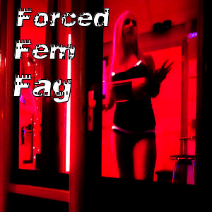 ForcedFemFag-main-image